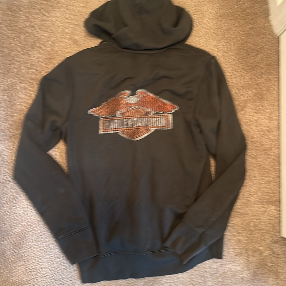 Harley-Davidson® Men's Eagle Logo  Zippered Hoodie, Steel Gray 99089-18VM medium